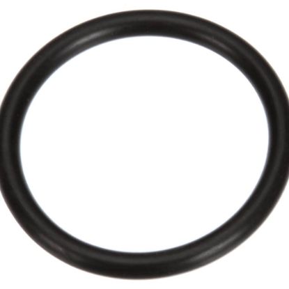 Picture of Hoshizaki O Ring Part# 7616-P032