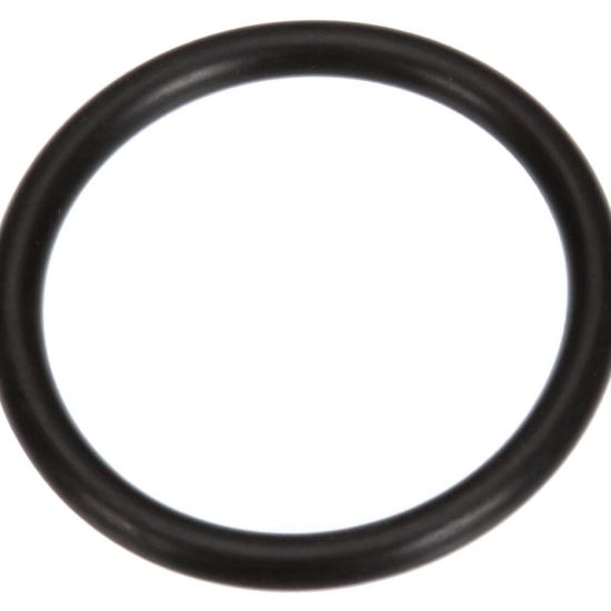 Picture of Hoshizaki O Ring Part# 7616-P032