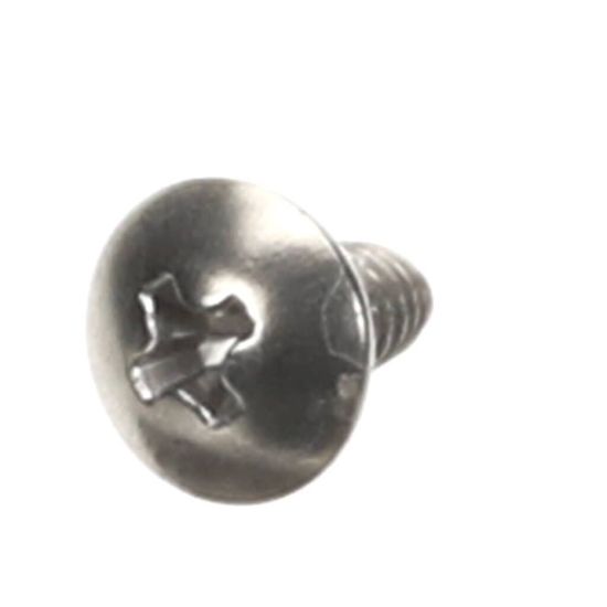Picture of Hoshizaki Truss Head Tapping S Part# FTS0408M0