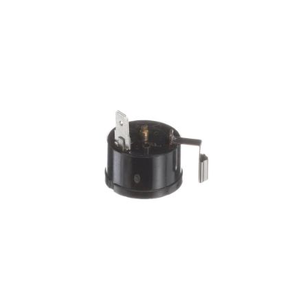 Picture of Hoshizaki Overload Protector Part# P03997-01