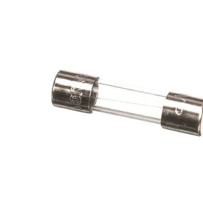 Picture of Hoshizaki P0420301 Fuse Part# P04203-01