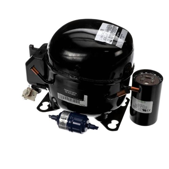 Picture of Hoshizaki Sp-5531 Ase24 Compressor Service Kit Part# SP-5531