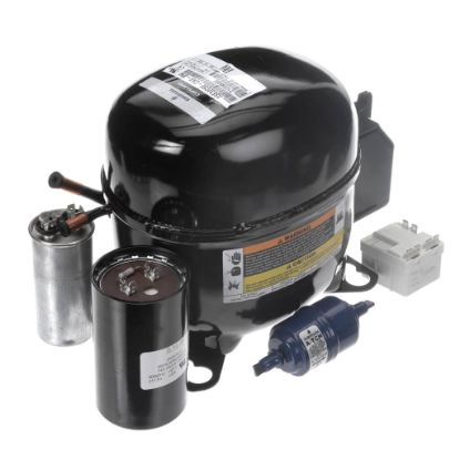 Picture of Hoshizaki Compressor Part# SP-5529