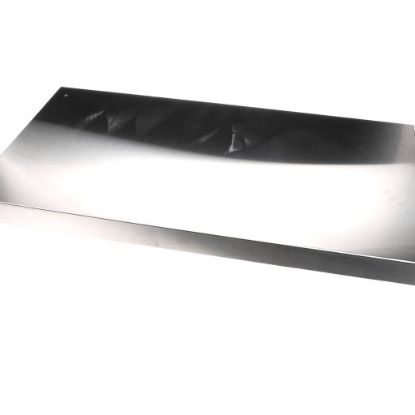 Picture of Ice-o-matic Door Panel Part# 1011448-02