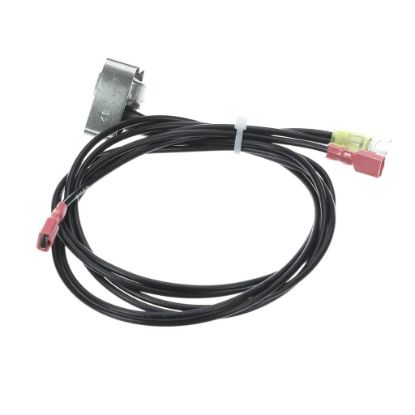 Picture of Ice-o-matic Switch High Temp Part# 9041117-02