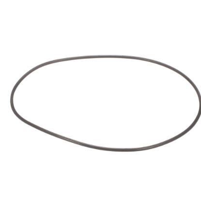 Picture of Ice-o-matic O Ring Seal (Flaker) Part# 9051637-01