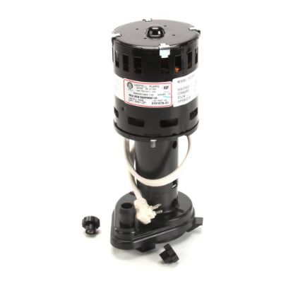 Picture of Ice-o-matic Pump Water 3000 Rpm 230V Part# 9161079-03
