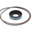 Picture of Imperial Seal Kit For Viking Pump Part# 11500