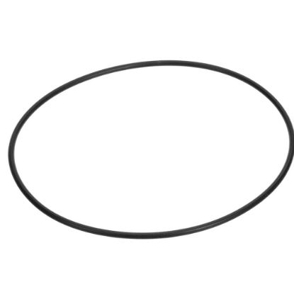 Picture of Jackson O-ring Part# 5330-002-34-23