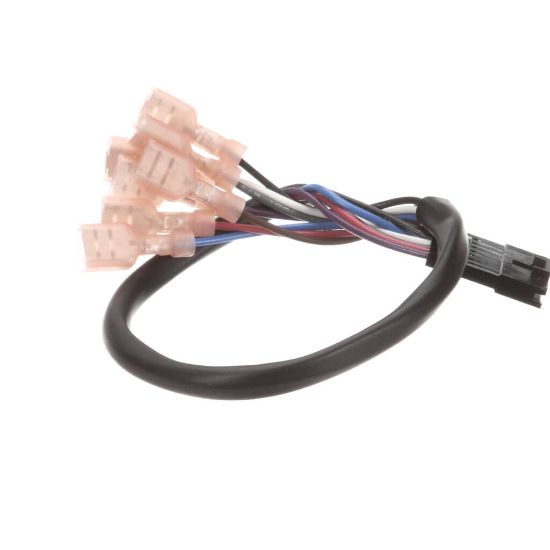 Picture of Jackson Harness, Membrane Switch Wire Part# 5999-004-10-49
