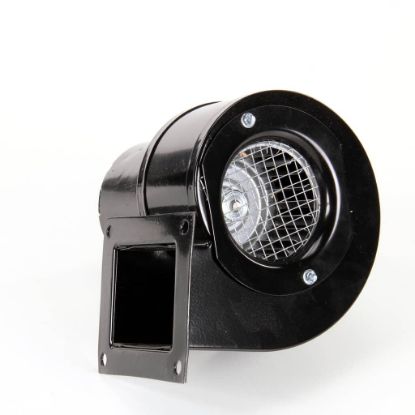 Picture of Jade Blower, Fasco#7021-2367 Part# 3000010267