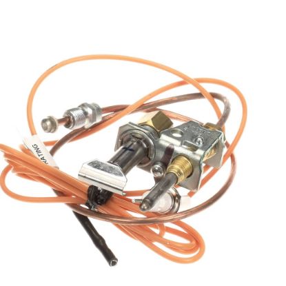 Picture of Jade Pilot W/elect&thermo Assembly Part# 3000014113