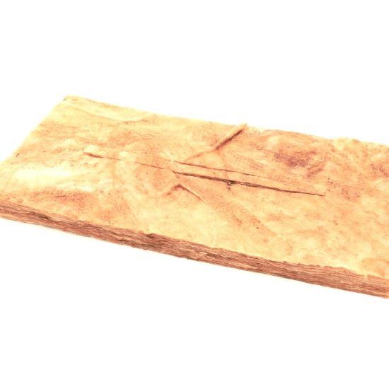 Picture of Lang Element Pan Insulation Part# 2H-XL-424