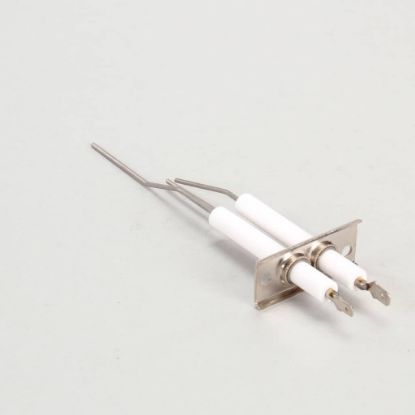 Picture of Lang Dsi Electrode Assembly Part# 2J-80302-05