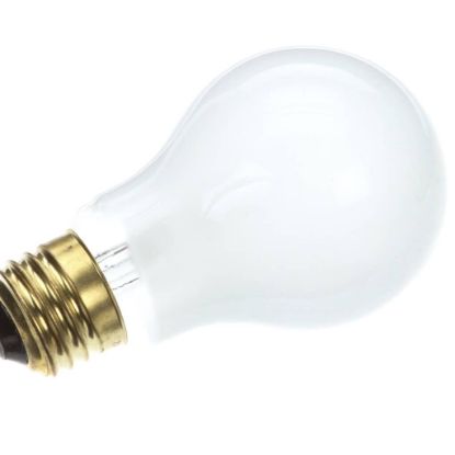 Picture of Lang Lamps Inc 250V 50W Part# 2S-31603-04