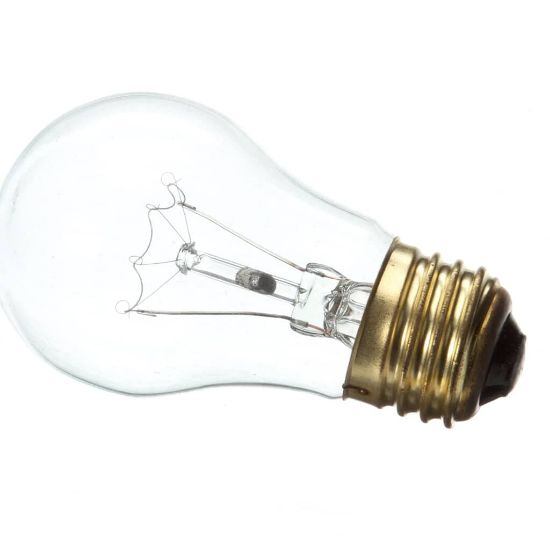 Picture of Lang 250V Bulb Part# 2S-31602-08-1
