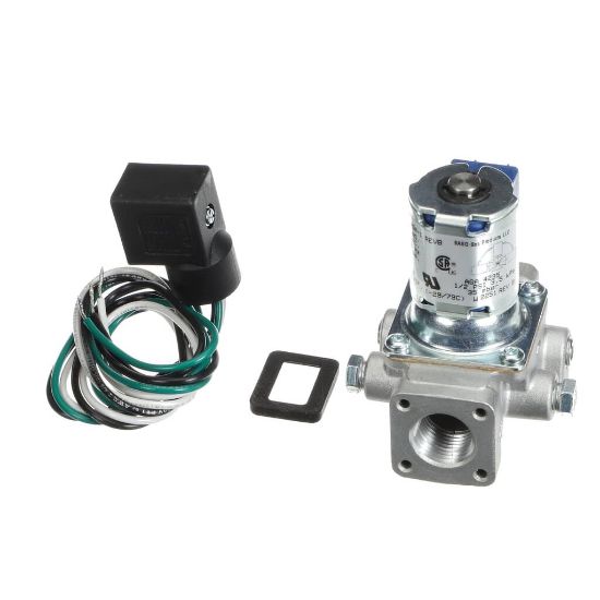 Picture of Lang Solenoid Valve 120Vac Part# 2V-80502-01