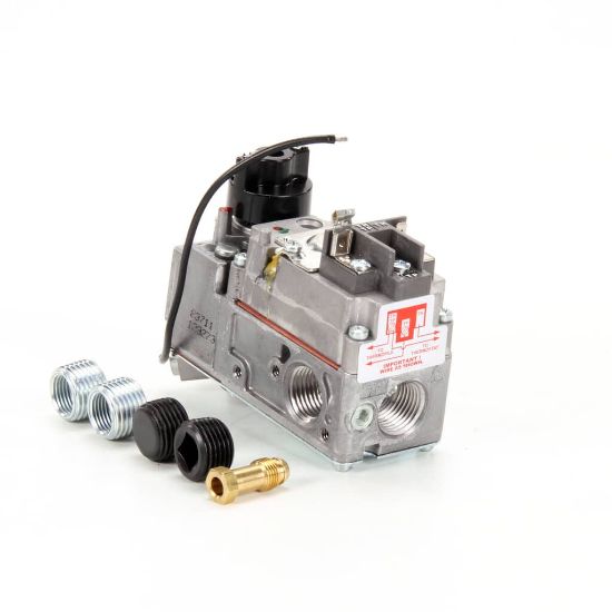 Picture of Lang Comb Valve Gas Grid Part# 2V-80505-01