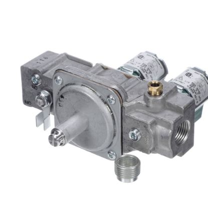 Picture of Lang Combi Valve Part# 2V-80505-10