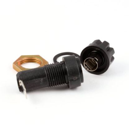 Picture of Lincoln Fuse Holder Part# 369012