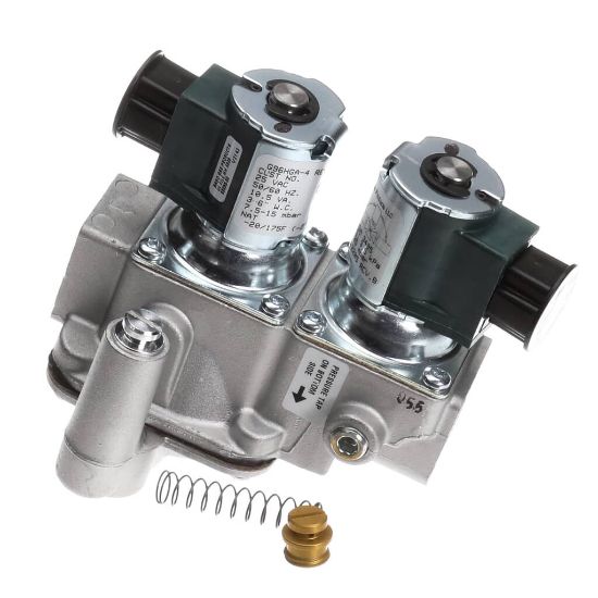 Picture of Lincoln Natural Gas Cont Assembly Part# 369263