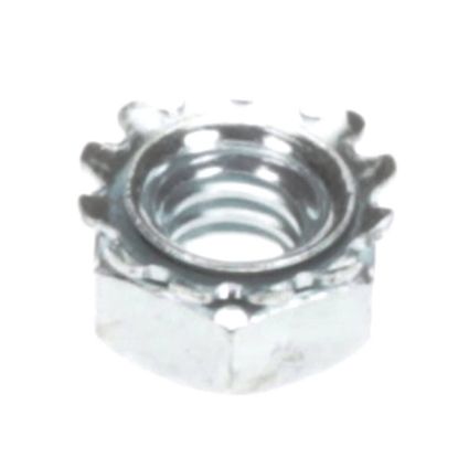Picture of Middleby Nutkeps 1/4-20 Zp Part# 2001414
