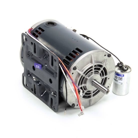 Picture of Middleby Motor1 Hp 208/230 50/60Hz 1Ph Part# 27381-0069