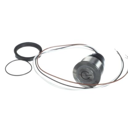Picture of Middleby Switch, Schurter 3-123-987 Part# 74916