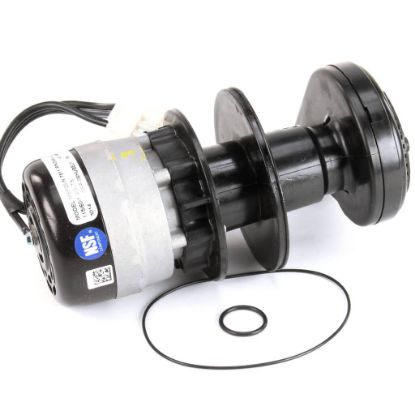 Picture of Manitowoc Ice Water Pump 115V 60Hz Part# 2008489