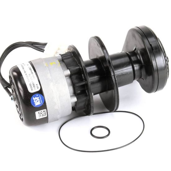 Picture of Manitowoc Ice Water Pump 115V 60Hz Part# 2008489