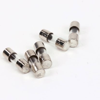Picture of Manitowoc Ice Fuse .125 Amp .57X.177 5 Pack Part# 2511169