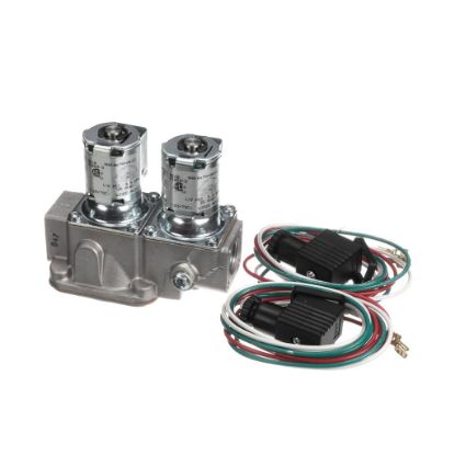 Picture of Montague Dual Safety Solenoid--mv Pv Part# 1069-3