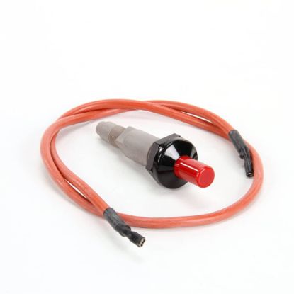 Picture of Nieco Pilot Igniter W/one 24 Wire Part# 4181-08