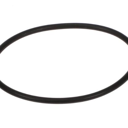 Picture of Pitco O-ring Part# 60068302