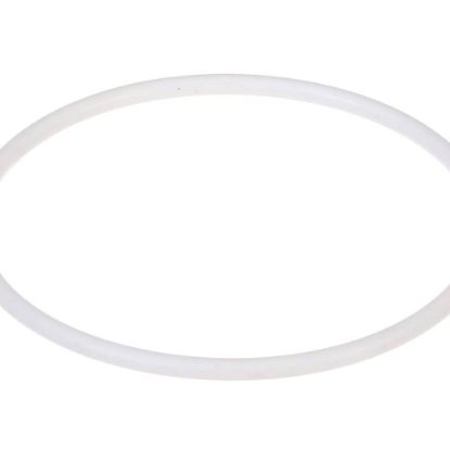 Picture of Pitco O-ring Part# 60068303