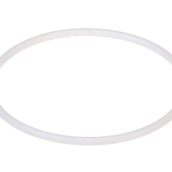 Picture of Pitco O-ring Part# 60068303