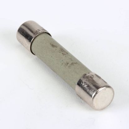 Picture of Pitco Fuse Part# 60132703
