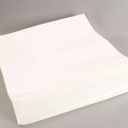 Picture of Pitco Filter Envelopes- 100 Part# A6667101