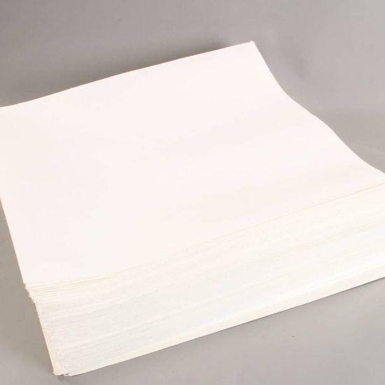 Picture of Pitco Filter Envelopes- 100 Part# A6667101
