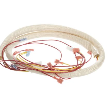 Picture of Pitco Wrg Harn Fr Pnl Pg14d-m Part# B6723601-C