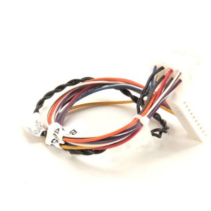 Picture of Pitco Wire Harness Part# B6746501