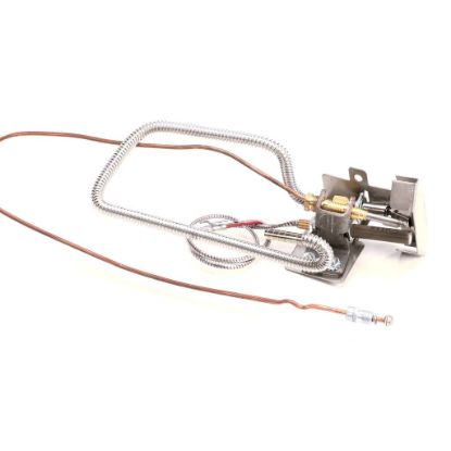Picture of Pitco Pg Plt Assy Sg Ce Nat Part# B8032103-C