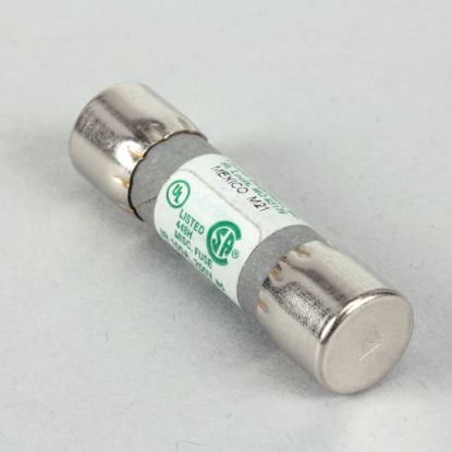 Picture of Pitco Fuse,2a-slo Blow Part# P5045700
