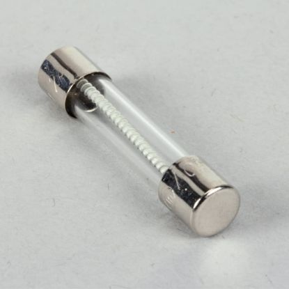 Picture of Pitco Fuse Part# P5045717