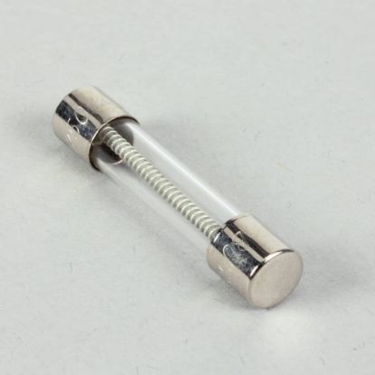 Picture of Pitco Fuse,4a-slo Blow Glass Part# P5045720