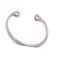 Picture of Pitco Ring Rtng-internal .875 (Sst) Part# PP10842
