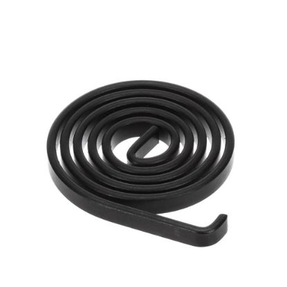 Picture of Prince Castle Power Spring Part# CG-046