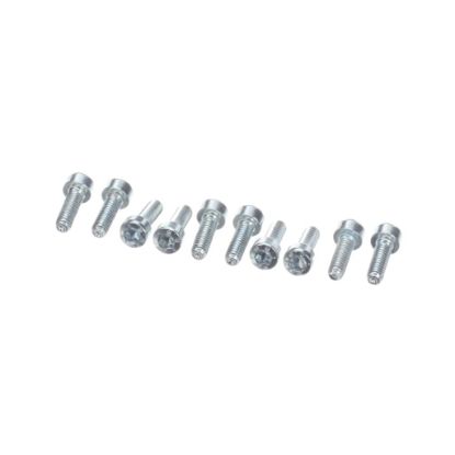 Picture of Rational Pan Head Screw Torx T20 M4x12 Part# 10.00.061P