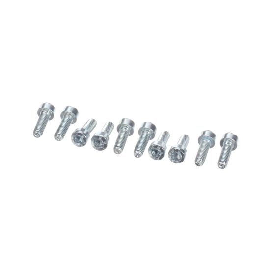 Picture of Rational Pan Head Screw Torx T20 M4x12 Part# 10.00.061P