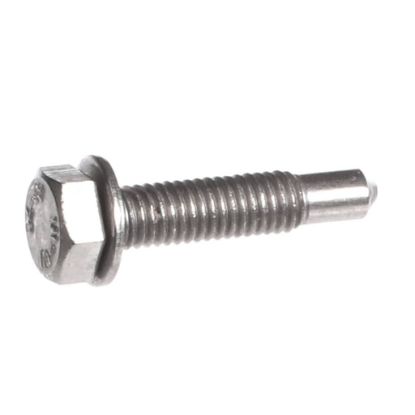 Picture of Rational Hex Screw M5x23 Part# 10.00.109P